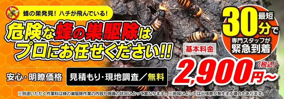 ハチ駆除センター