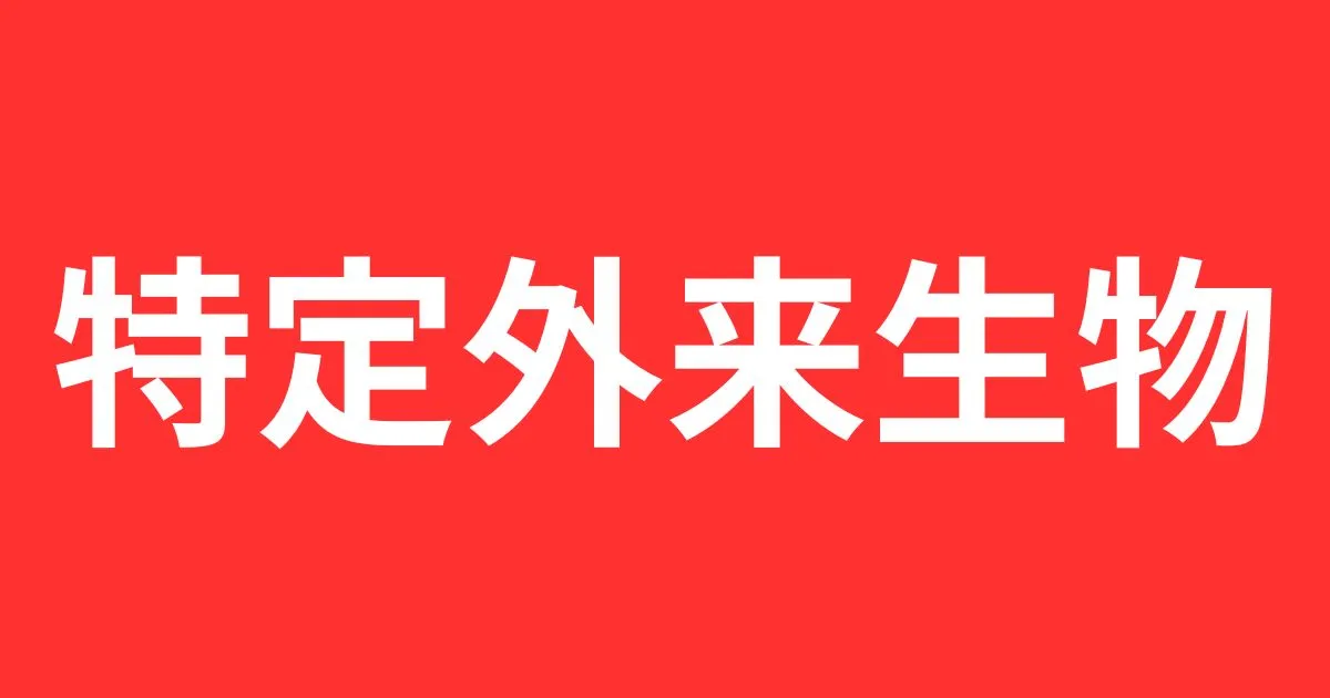 ツマアカスズメバチの巣の特徴と対策｜分布や見つけたらどうするべきかも解説